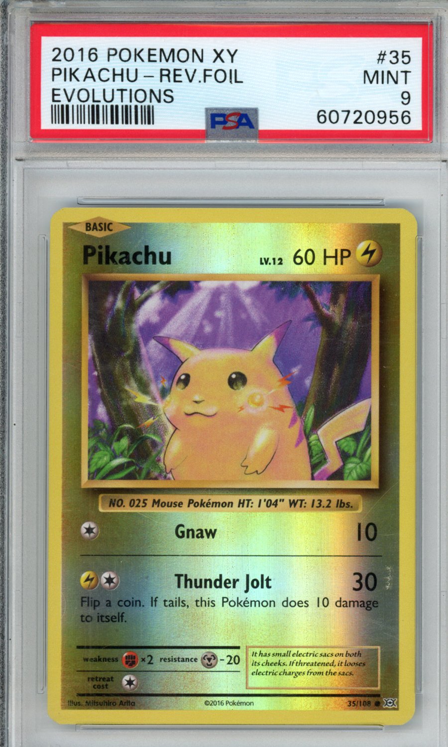 PokéMon TCG Pikachu-Rev. Foil #35 Evolutions PSA 9