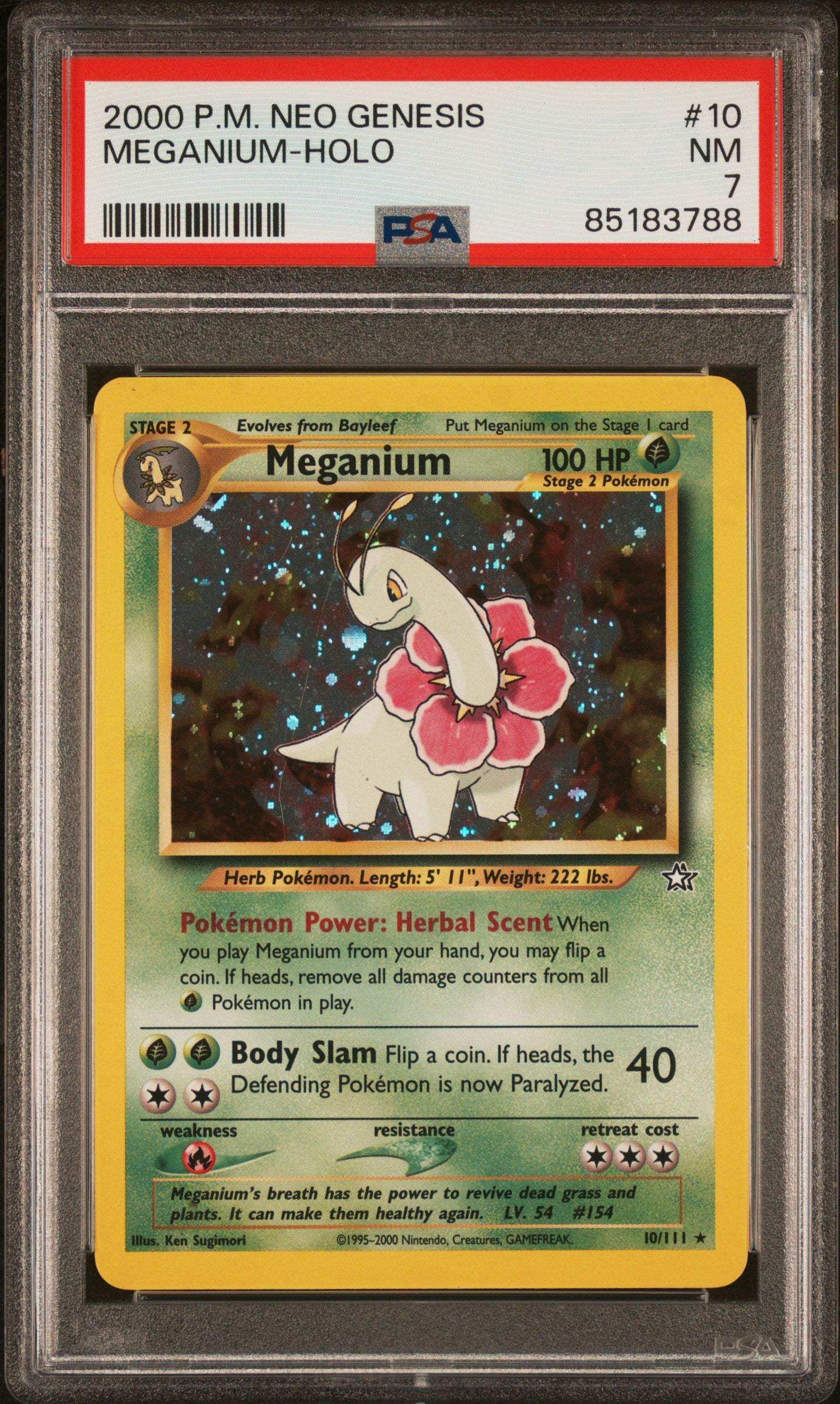 PokéMon TCG Meganium #10 PSA 7