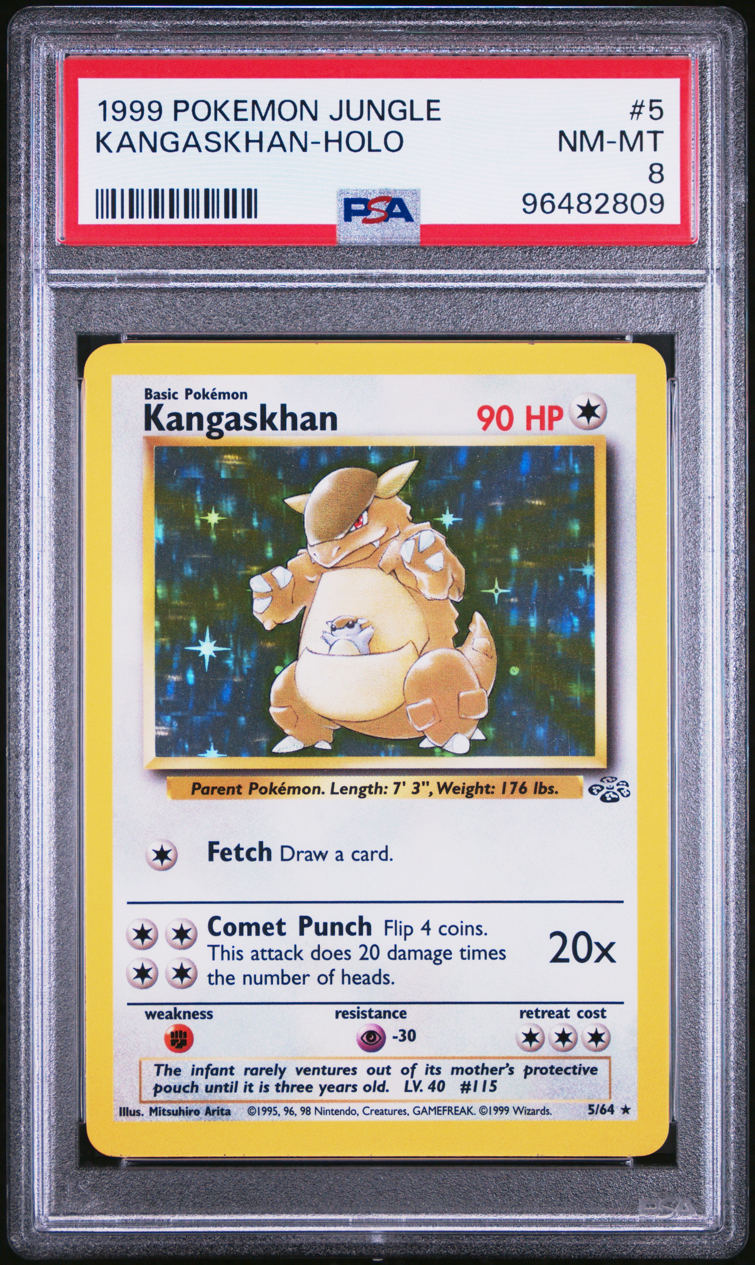 Hot Pokemon Kangaskhan 5